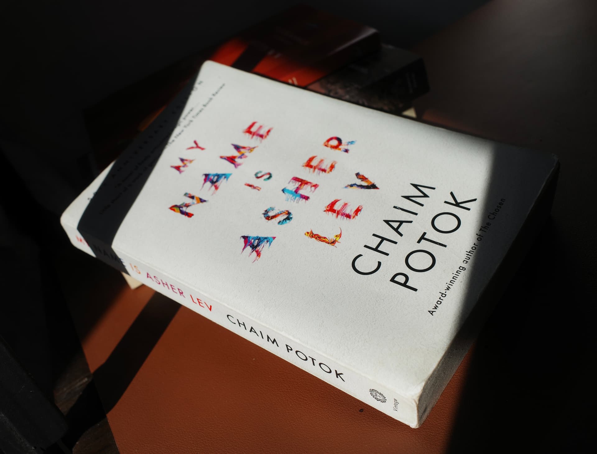 Book Review: Chaim Potok's My Name is Asher Lev article image