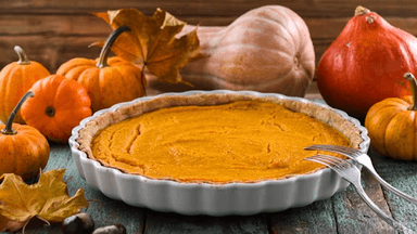 Jews and Thanksgiving's profile picture