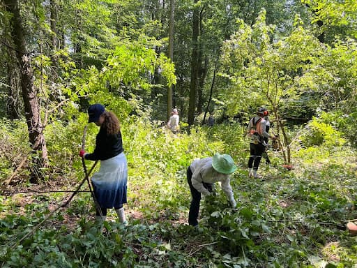 A Baptist Minister, a Polish Professor, a Soldier in Ukraine, a Jewish Descendent; the many faces of Jewish cemetery preservation in Poland article image